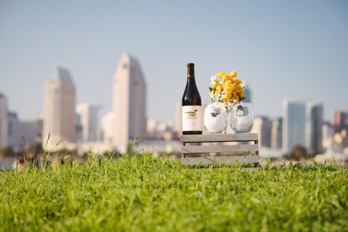 engagement session coronado island sunset san diego skyline california props yellow flowers grass wine glasses