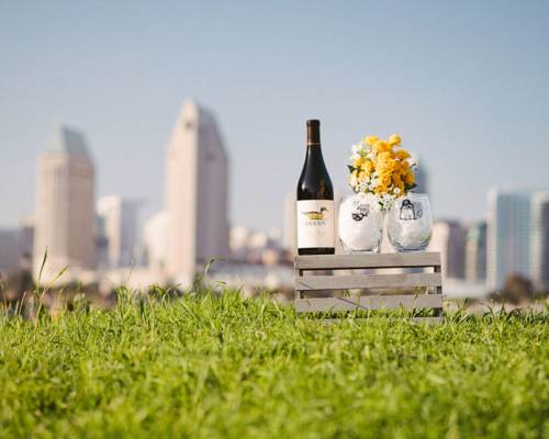 engagements portfolio san diego skyline coronado island props grass